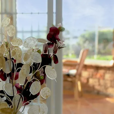 Vila Marianna Con Piscina Climatizada Y Barbacoa Costa Adeje (Tenerife)