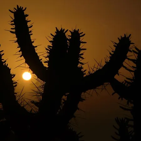 Marianna Con Piscina Climatizada Y Barbacoa *
